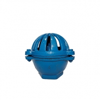 Válvula de Pé (Cebola)